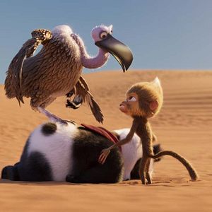 Photo Petit Panda en Afrique