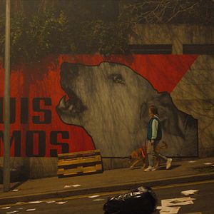 Photo Le Procès du chien