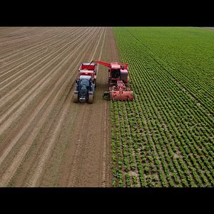 Photo Semer et Récolter