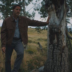 Photo The Wilderness