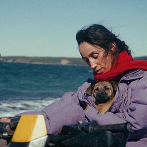 Photo La Chienne
