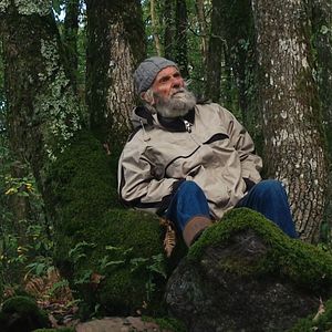 Photo Forêt éternelle