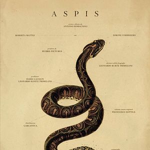 Photo Aspis