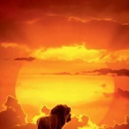 Photo Le Roi Lion
