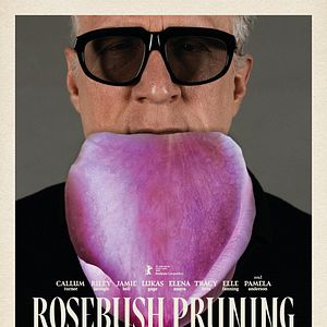 Photo Rosebush Pruning