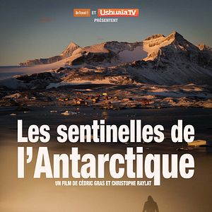 Photo Les sentinelles de l’Antarctique