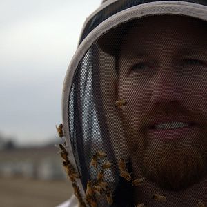 Photo Les Secrets des abeilles 