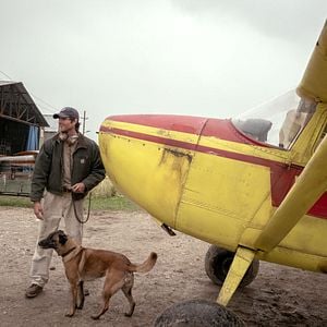 Photo The Dog Stars