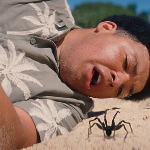 Photo Spider Island