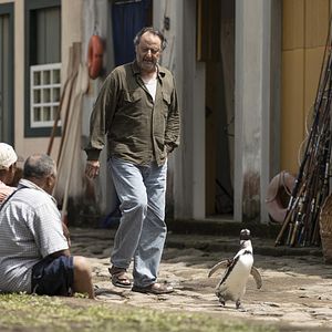 Photo Mon ami le petit manchot