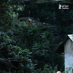 Photo La maladie du sommeil
