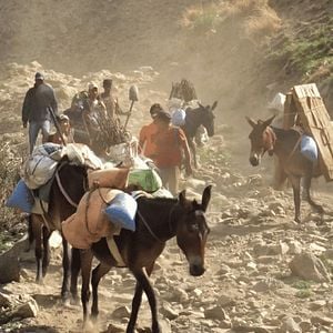 Photo L’Himalaya Sans Filtre : Sur Les Routes De Lo