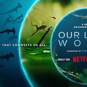 Photo Notre monde vivant