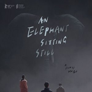 Photo An Elephant Sitting Still