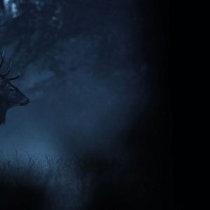 Photo Argoat