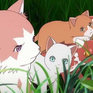 Photo Cats and Dragon