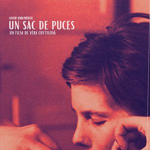 Photo Un sac de puces