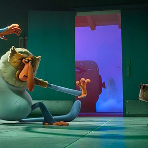 Photo Une nuit au zoo