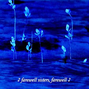 Photo Daria’s Night Flowers