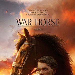 Photo Cheval de guerre