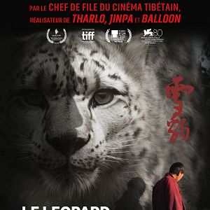 Photo Le Léopard des neiges