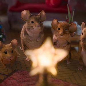 Photo Panique à Noël 