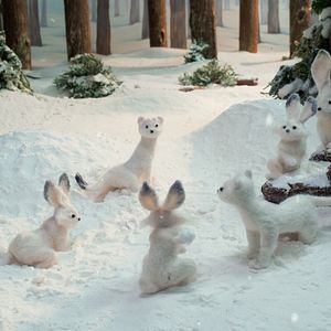 Photo Cinema dei Piccoli
