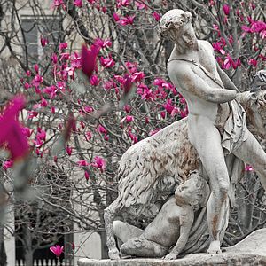 Photo ALTAÏR Conférences - Un an à Paris