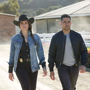 NCIS : Enquêtes spéciales Saison 21 - AlloCiné