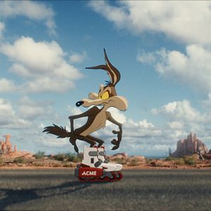 Photo Coyote vs Acme