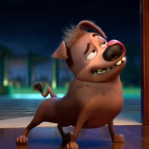 Photo Mochy, le chien le plus moche du monde