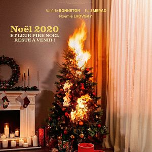 Photo Les Boules de Noël