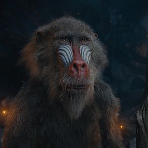 Photo Mufasa : Le Roi Lion