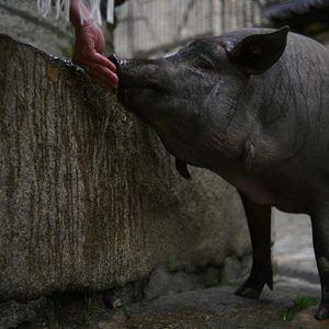 Photo Omnivores : Le parcours de l’alimentation