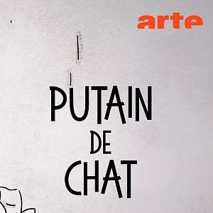 Photo Putain de chat !
