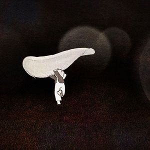 Photo Le Cygne et l'enfant