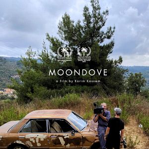 Photo Moondove