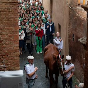 Photo Solo Mio