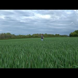 Photo Semer et Récolter