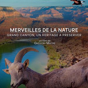 Photo Merveilles de la nature - Grand Canyon un héritage à préserver