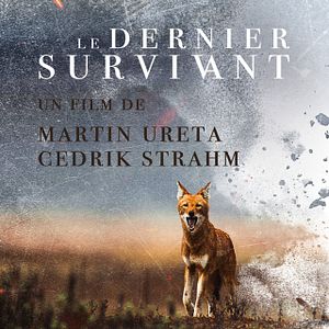 Photo Le dernier survivant