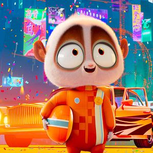 Photo Les Rois du rallye