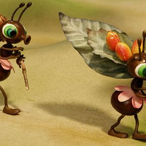 Photo Sens Dessus Dessous