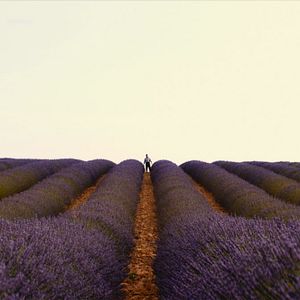 Photo Valensole 1965