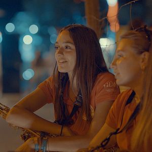 Photo Se souvenir des tournesols