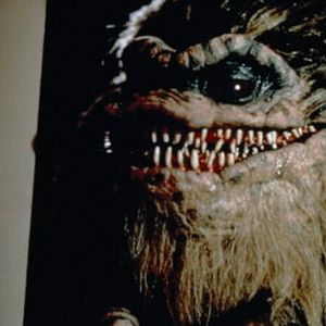 Photo Critters