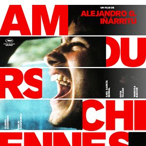 Photo Amours chiennes