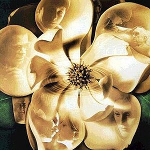 Photo Magnolia