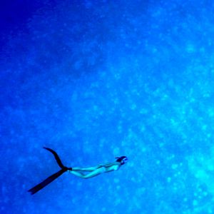 Photo Nos âmes libres