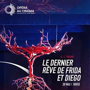 Photo Le Dernier rêve de Frida et Diego (Metropolitan Opera)